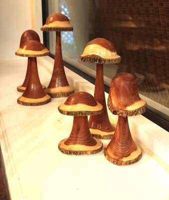 Sculptures of mushrooms