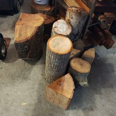 Tree stumps in Bob’s garage looking forward to their transformation into beautiful art work